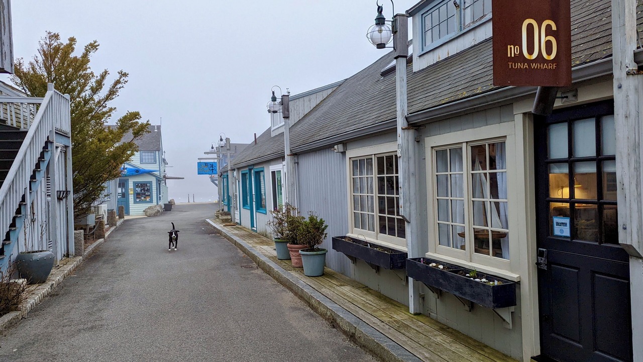 Photo of Outdoor in Rockport