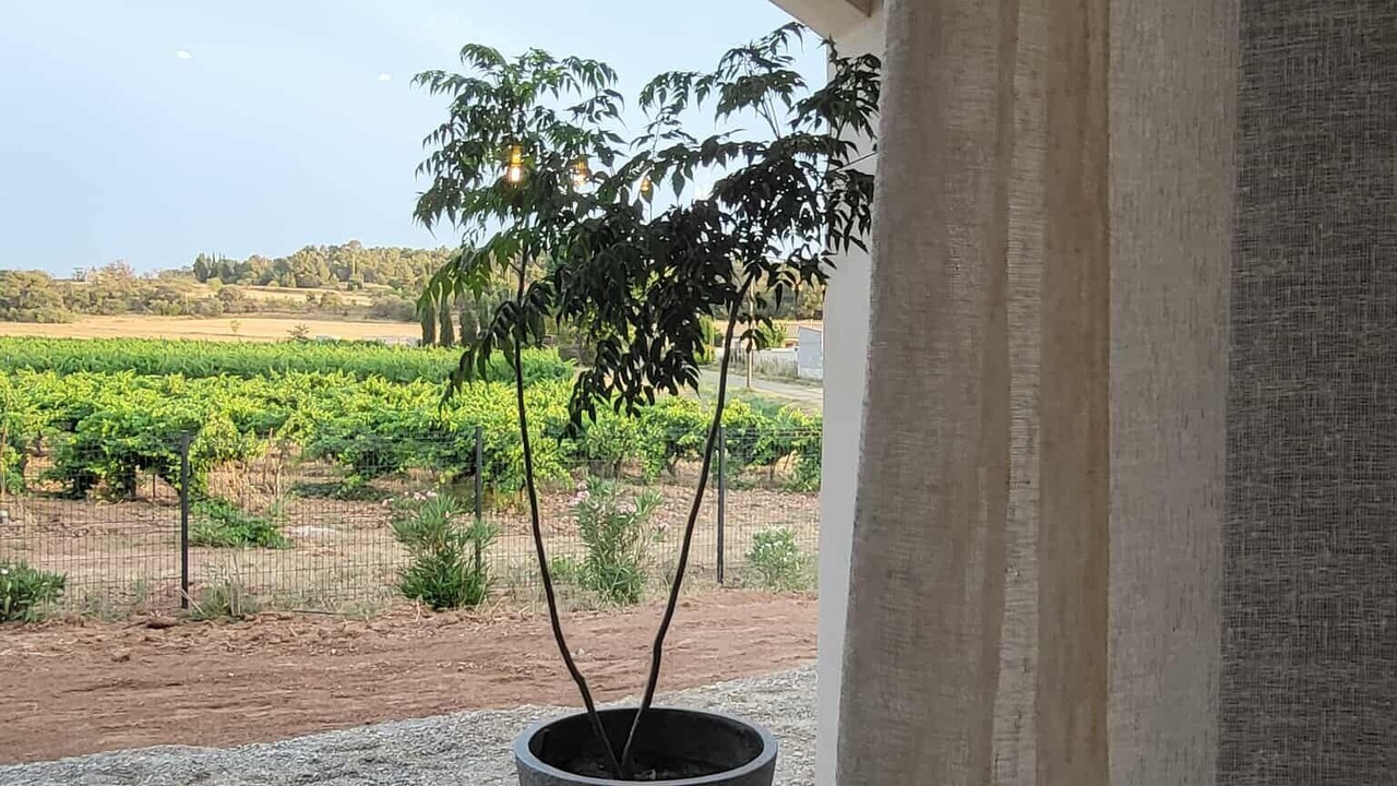 Photo of Outdoor in Roquecourbe-Minervois