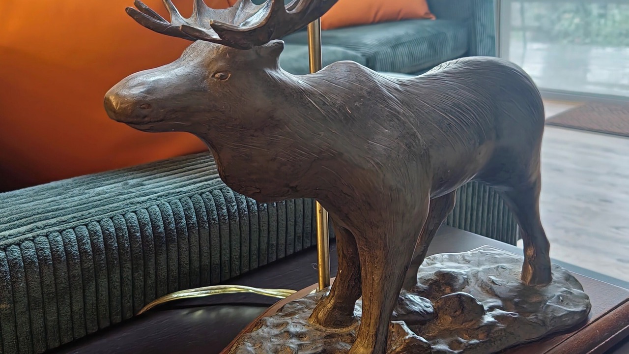 Photo of Others in Village at Camelback