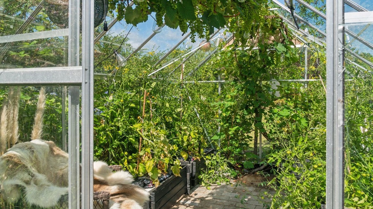 Photo of Others in Yderby