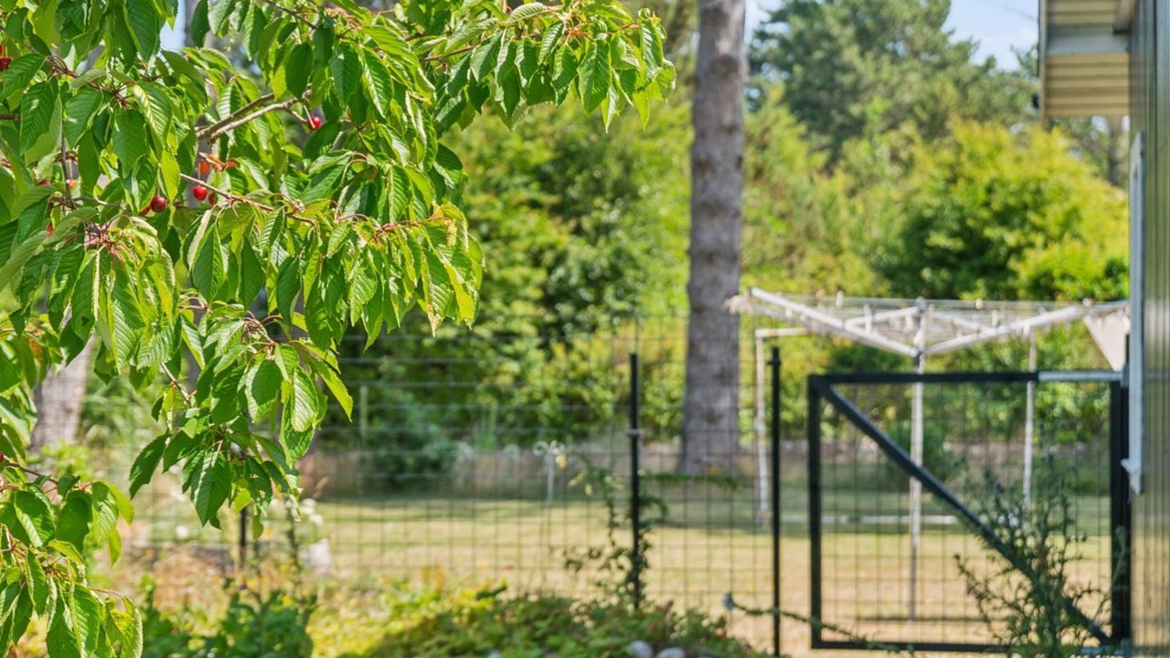 Photo of Others in Yderby