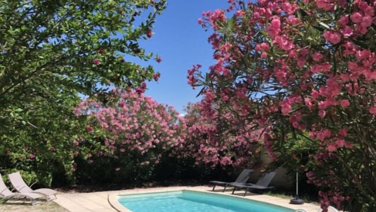 Photo of Outdoor in Mondragon