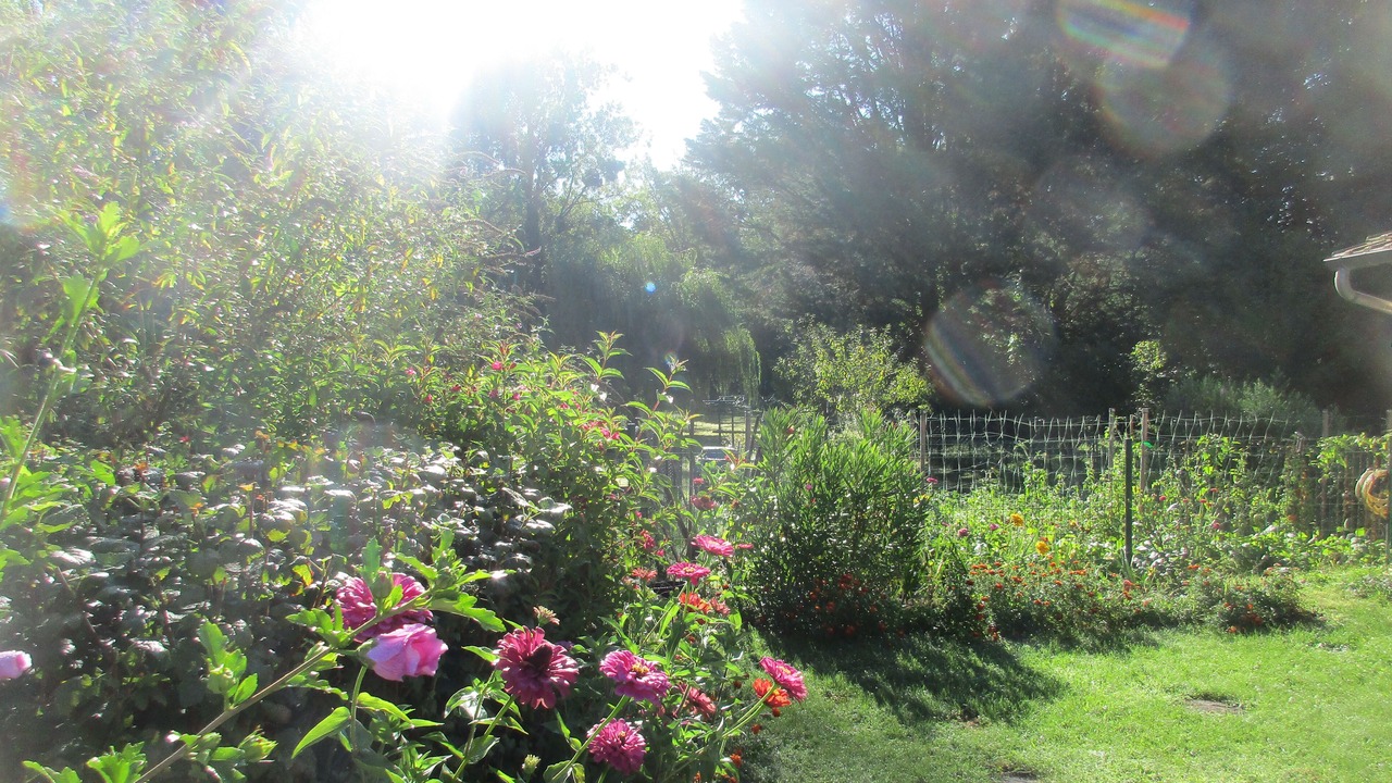 Photo of Outdoor in Neuvy-sur-Barangeon