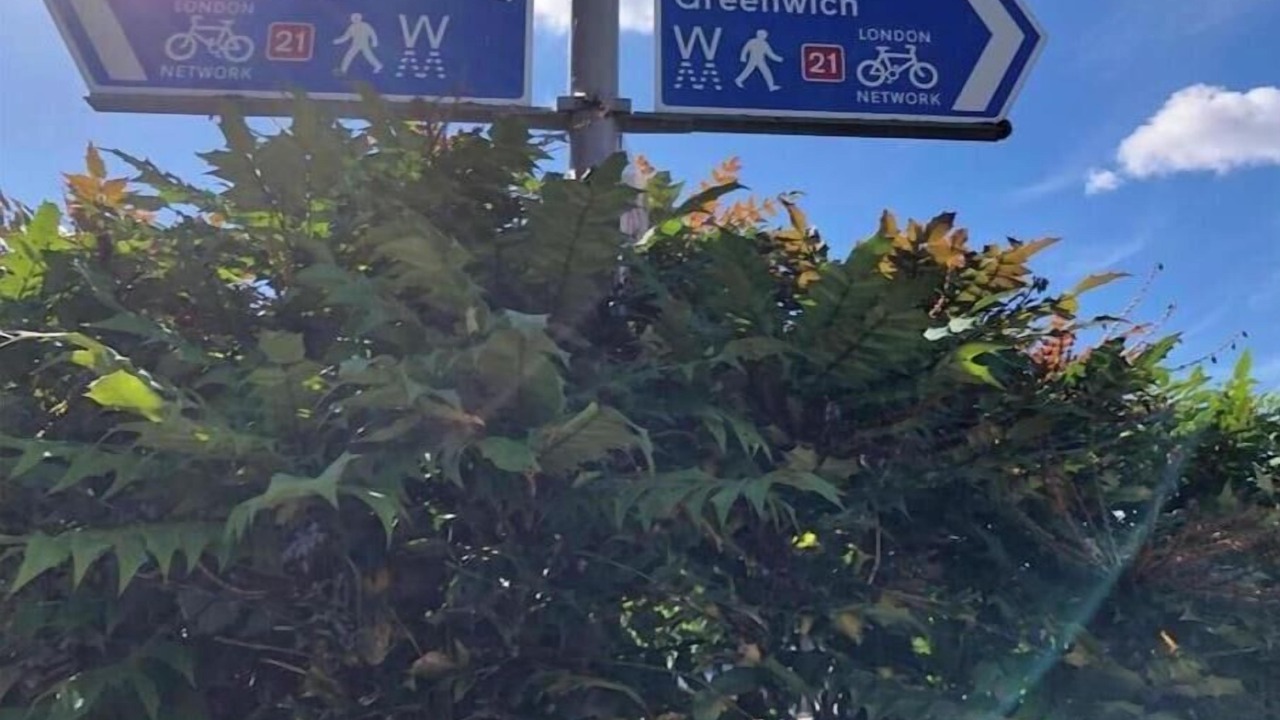 Photo of Outdoor in Ladywell