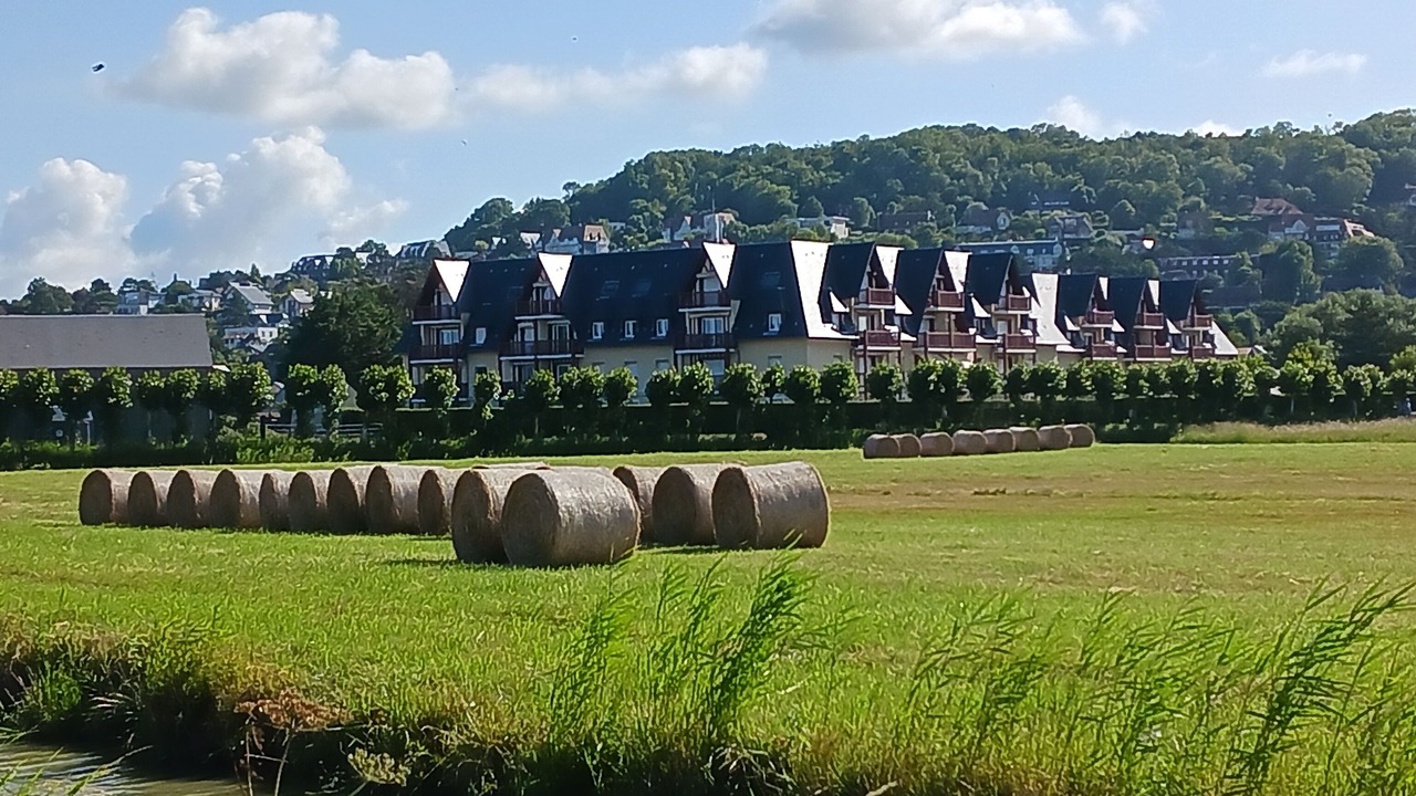 Photo of Outdoor in Blonville-sur-Mer