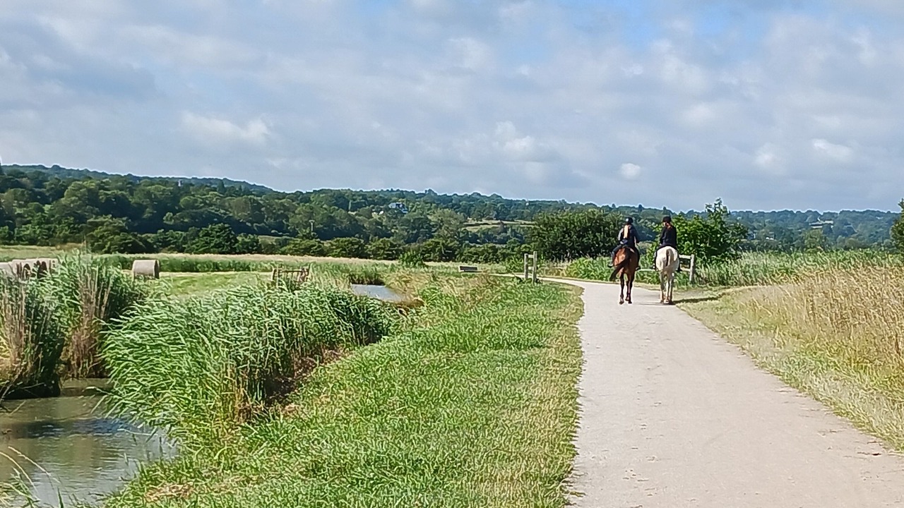 Photo of Others in Blonville-sur-Mer