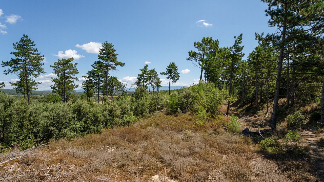 Photo of Others in Solerieux