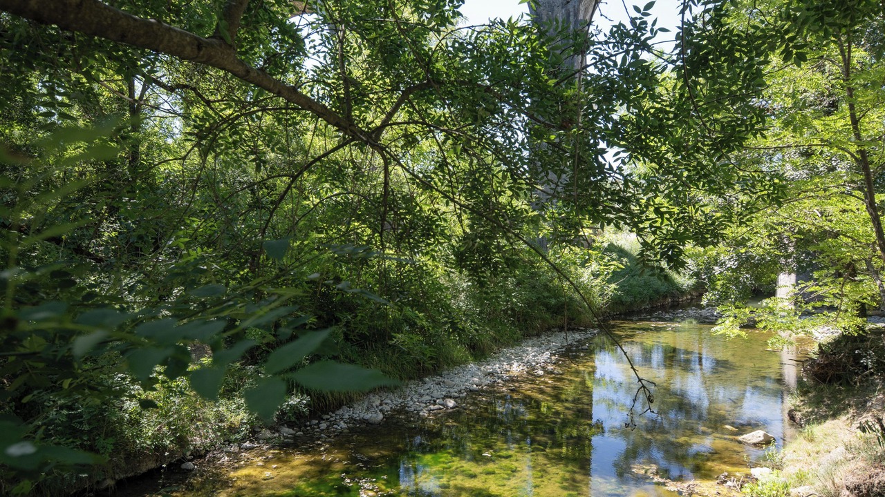 Photo of Others in Lavilledieu