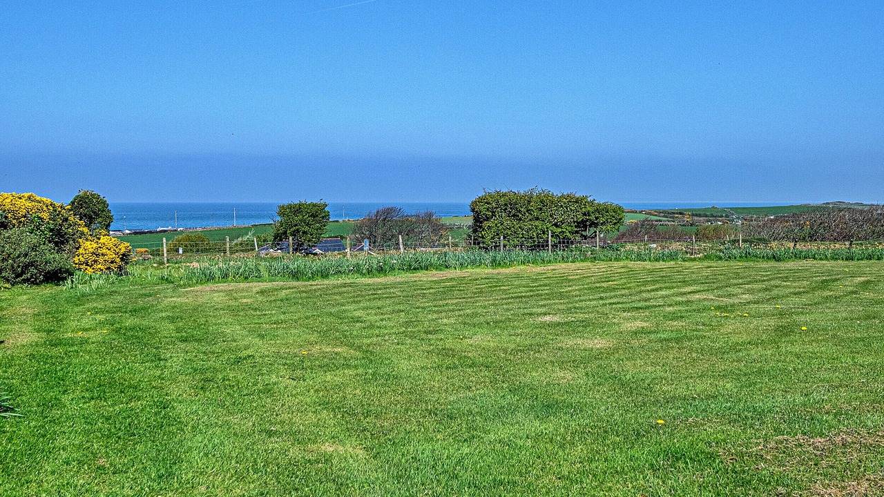 Photo of Others in Dinas