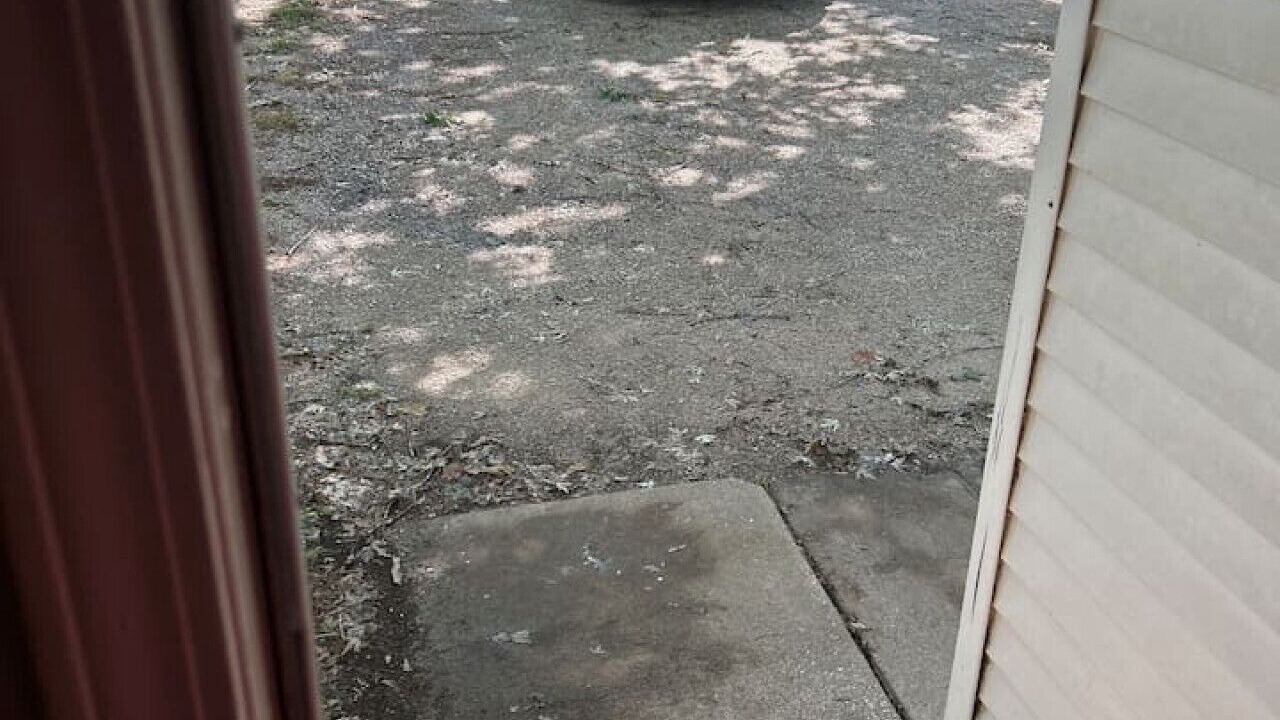Photo of Outdoor in Ozark