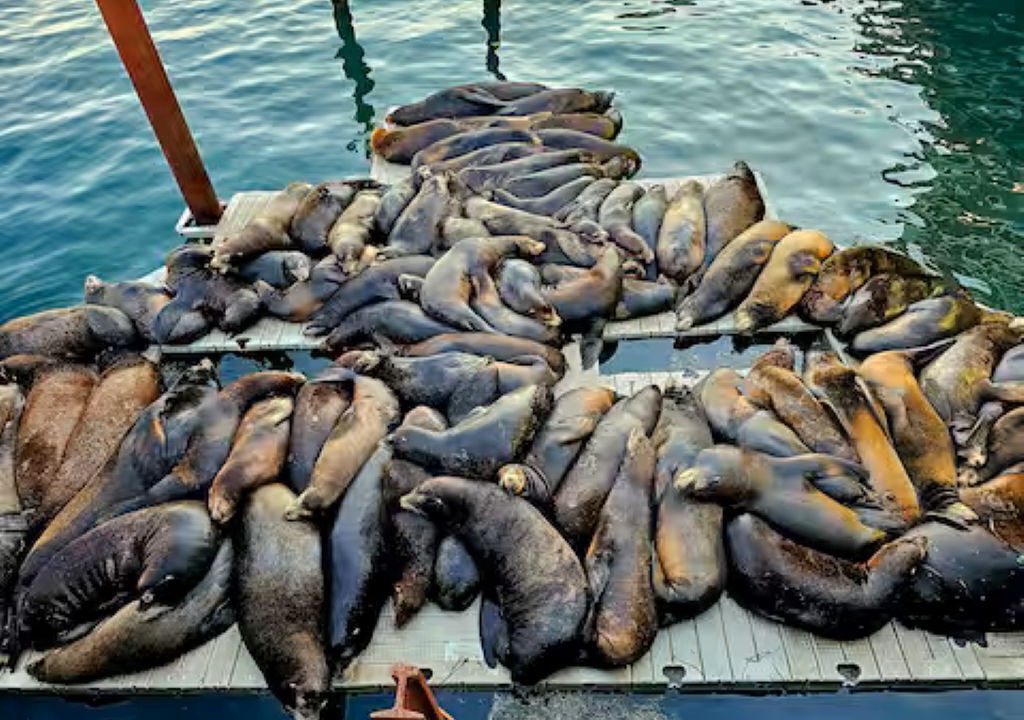 Photo of Others in Newport