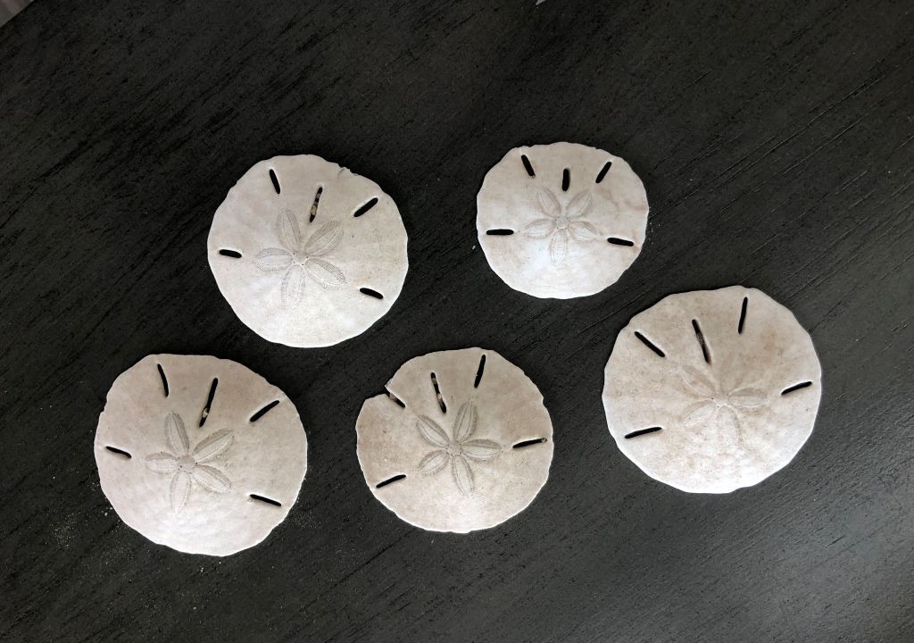 Photo of Others in Newport