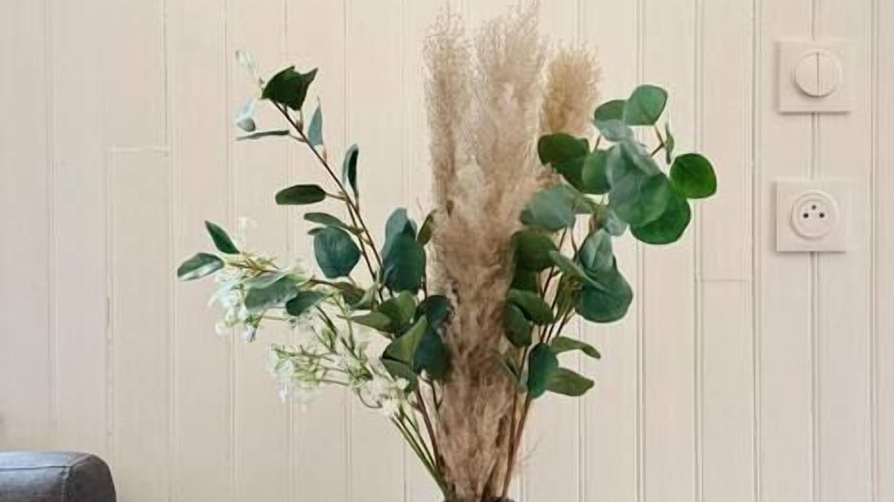 Photo of Others in Saint-Omer