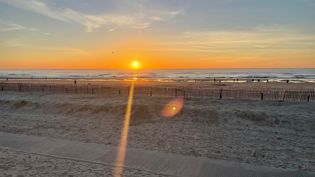 Photo of Others in Camiers