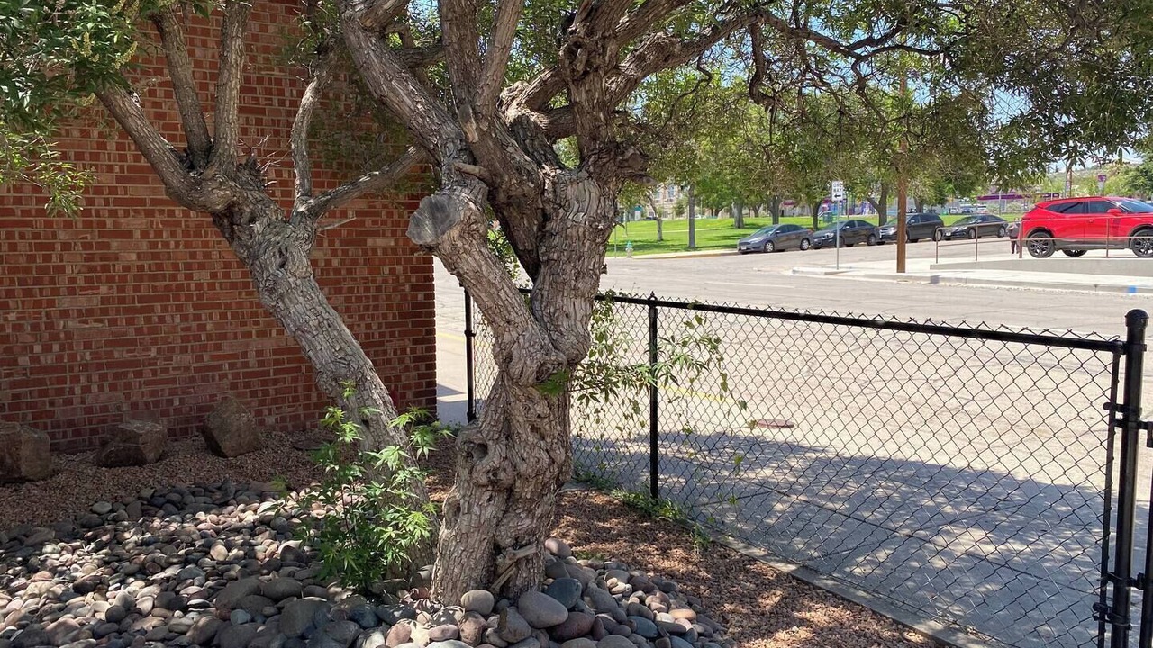 Photo of Outdoor in Downtown El Paso