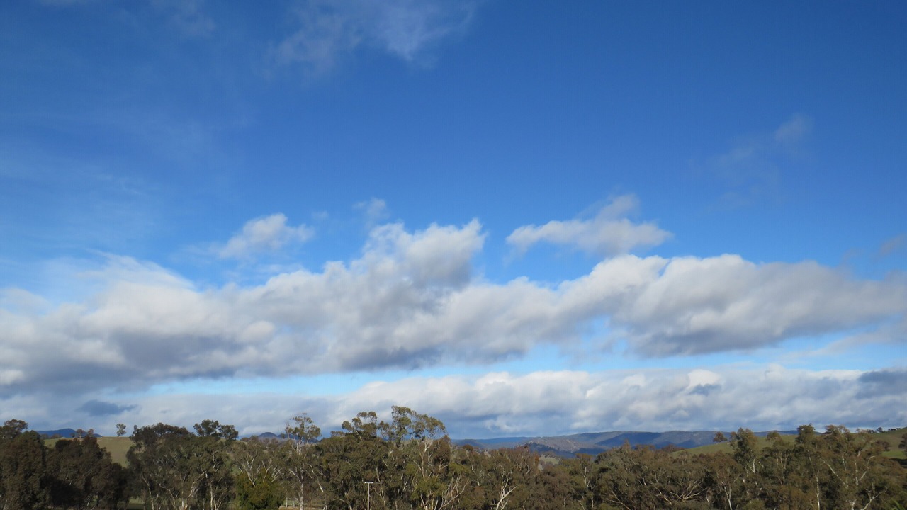 Photo of Others in Mansfield