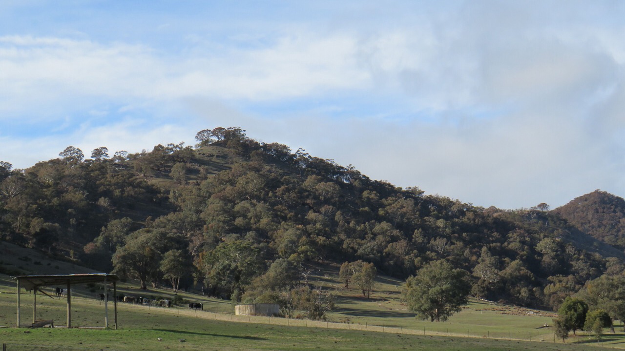 Photo of Others in Mansfield