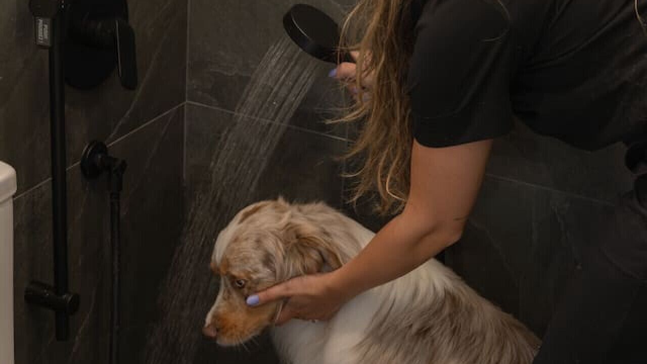 Photo of Bathroom in La Conception
