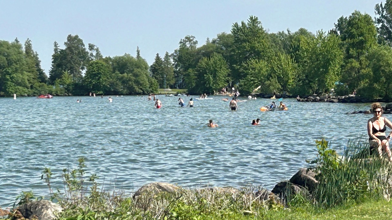 Photo of Others in Alcona
