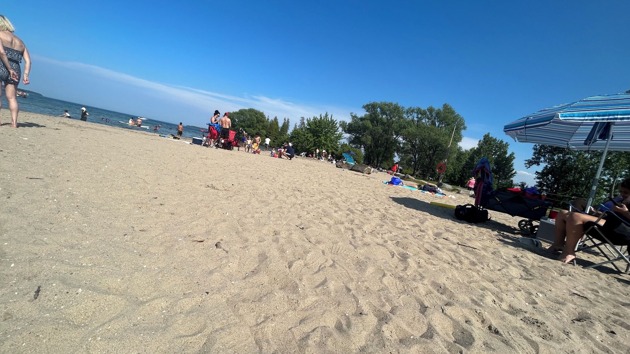 Photo of Others in Alcona