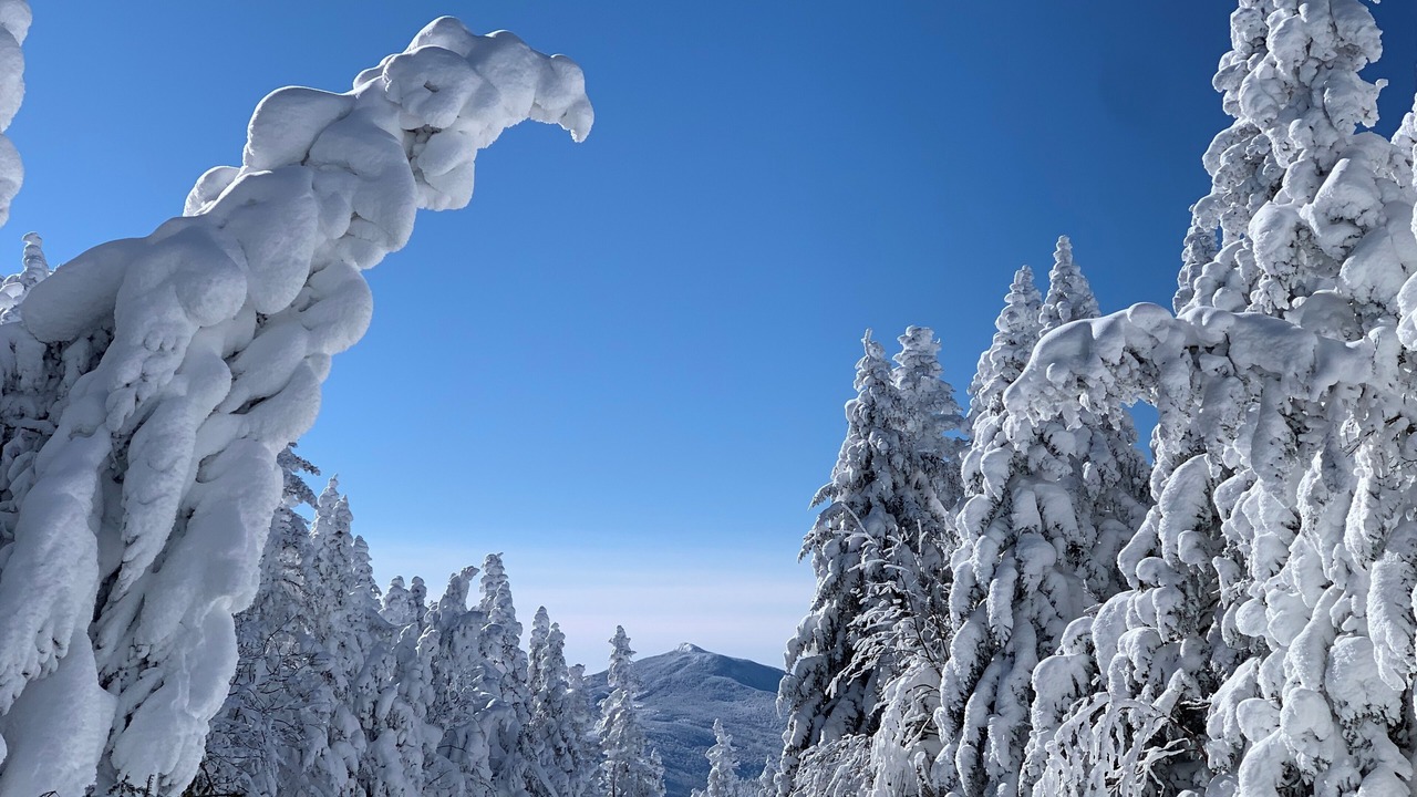 Photo of Others in Bolton Valley