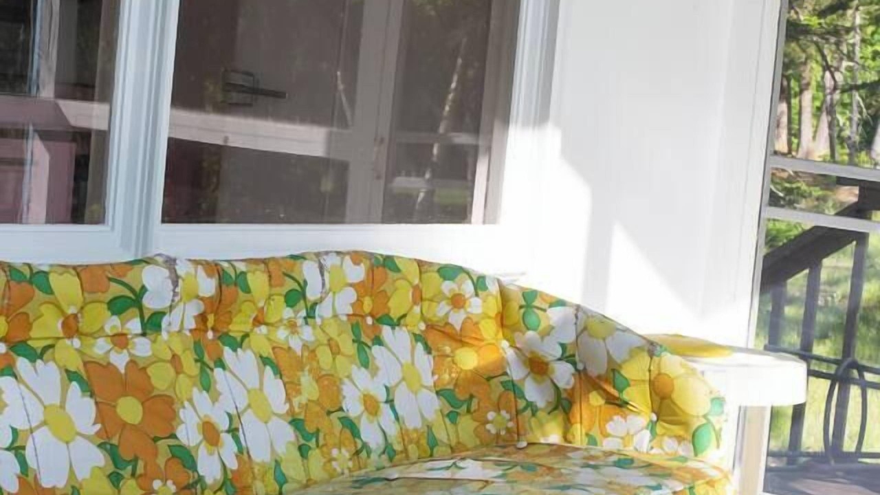 Photo of Others in Brighton