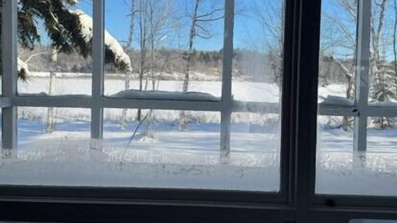 Photo of Others in Brighton