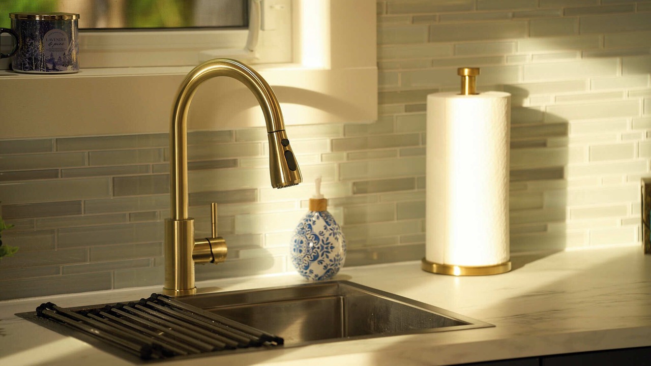 Photo of Others in Canterbury