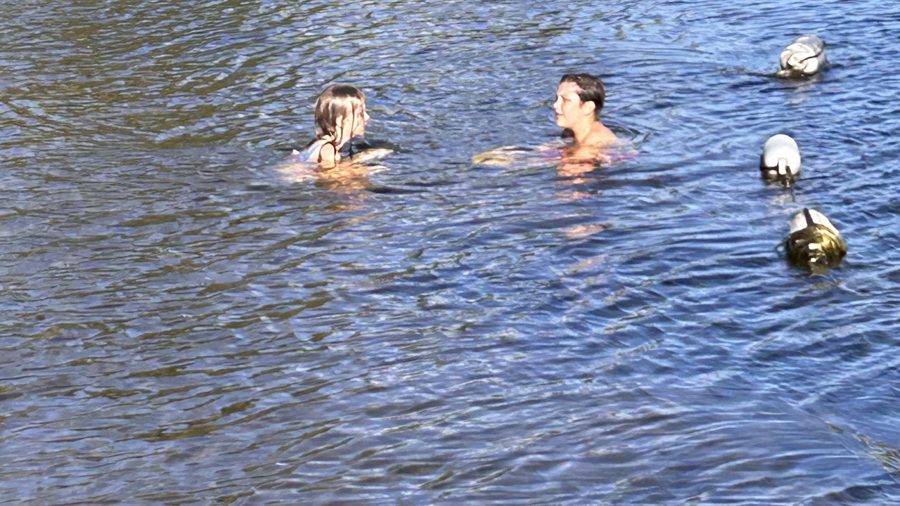 Photo of Others in Bonnechere Valley