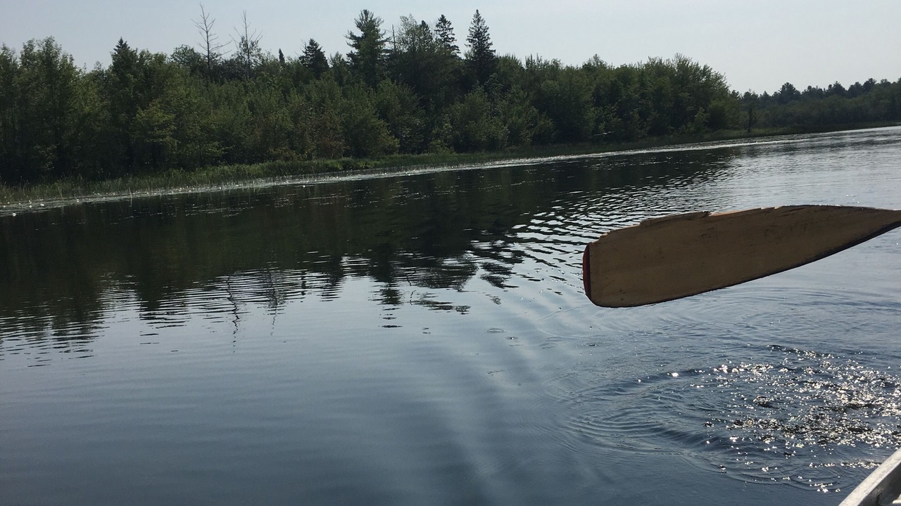 Photo of Others in Bonnechere Valley