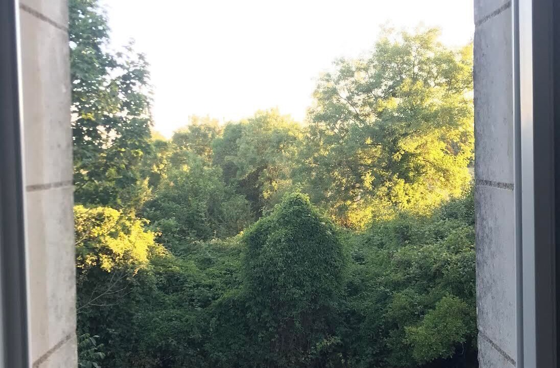 Photo of Others in Cantenay-Epinard