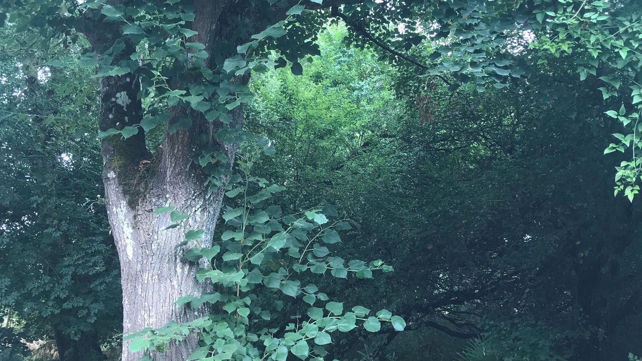 Photo of Others in Cantenay-Epinard