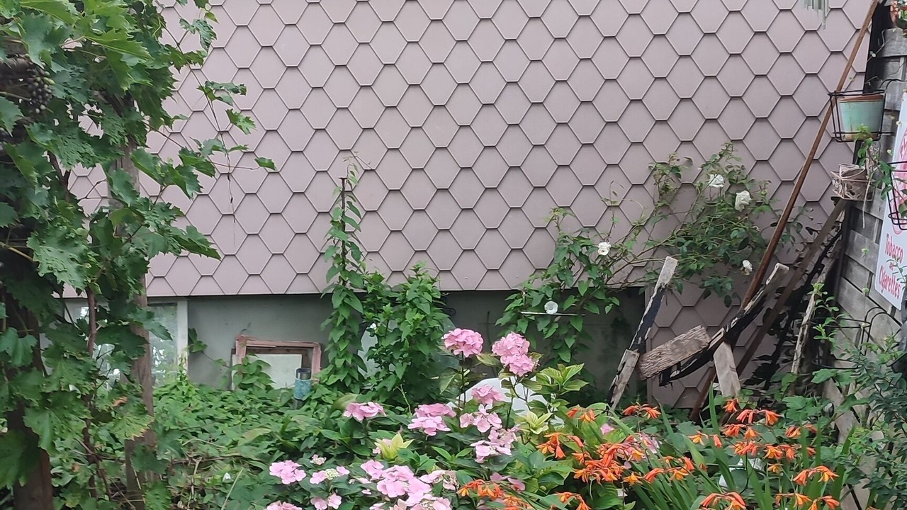 Photo of Outdoor in Jonschwil