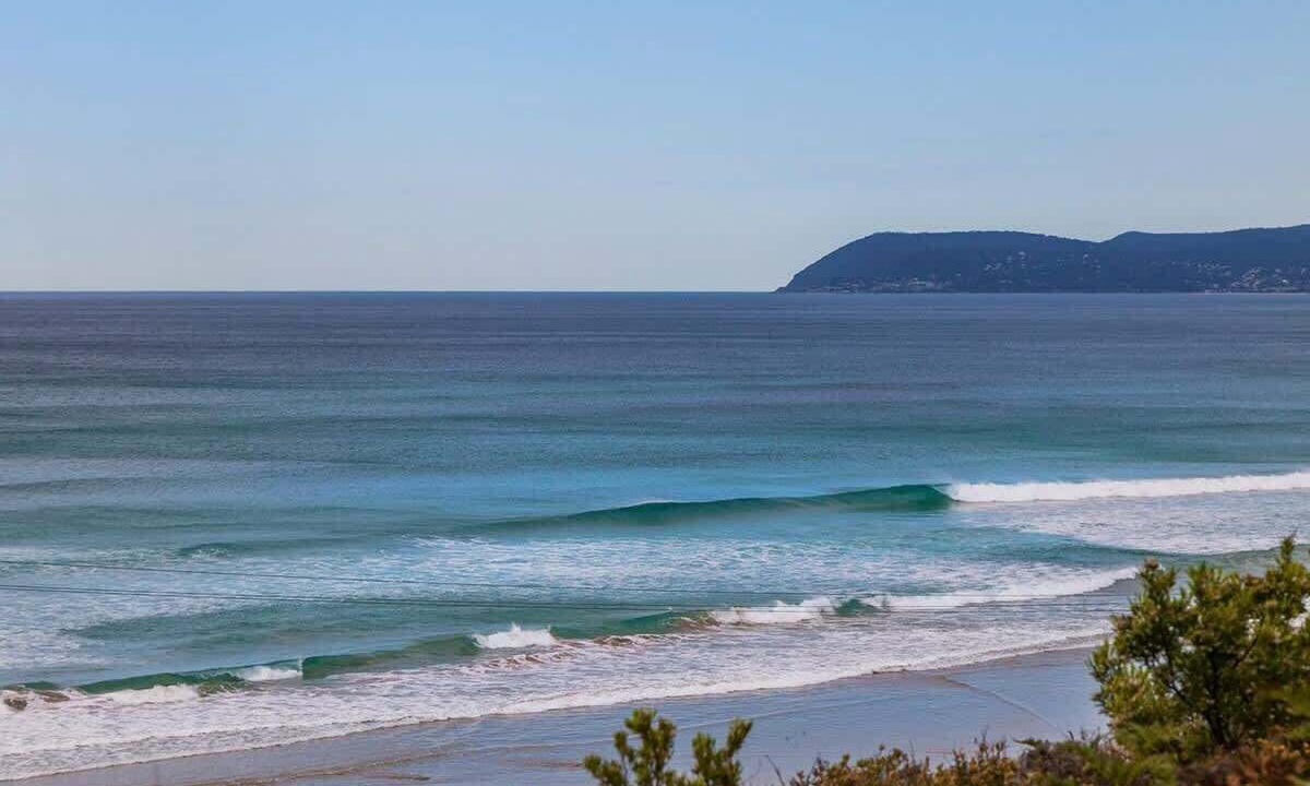 Photo of Others in Moggs Creek