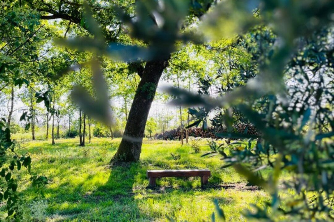 Photo of Others in Sainte-Helene