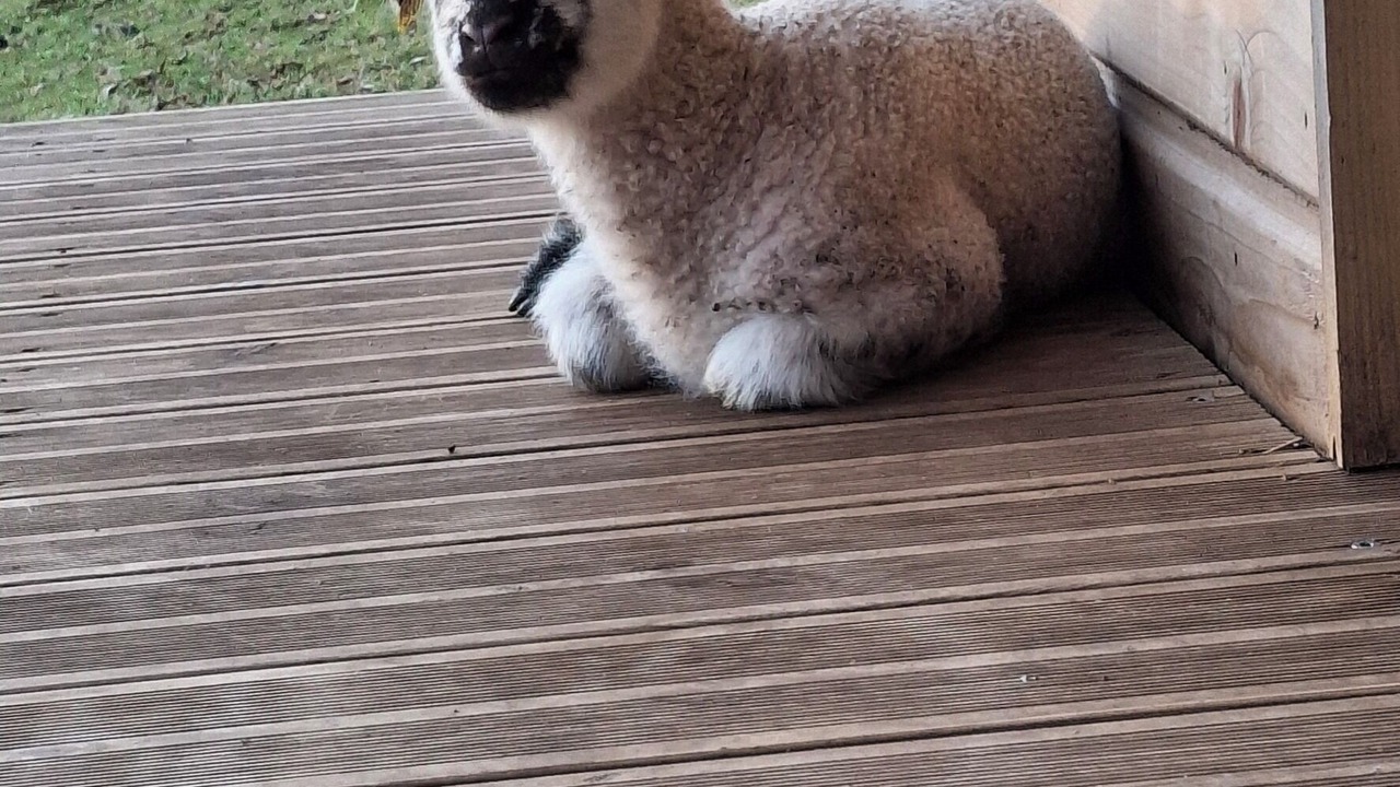 Photo of Outdoor in Saint-Gilles-du-Mene