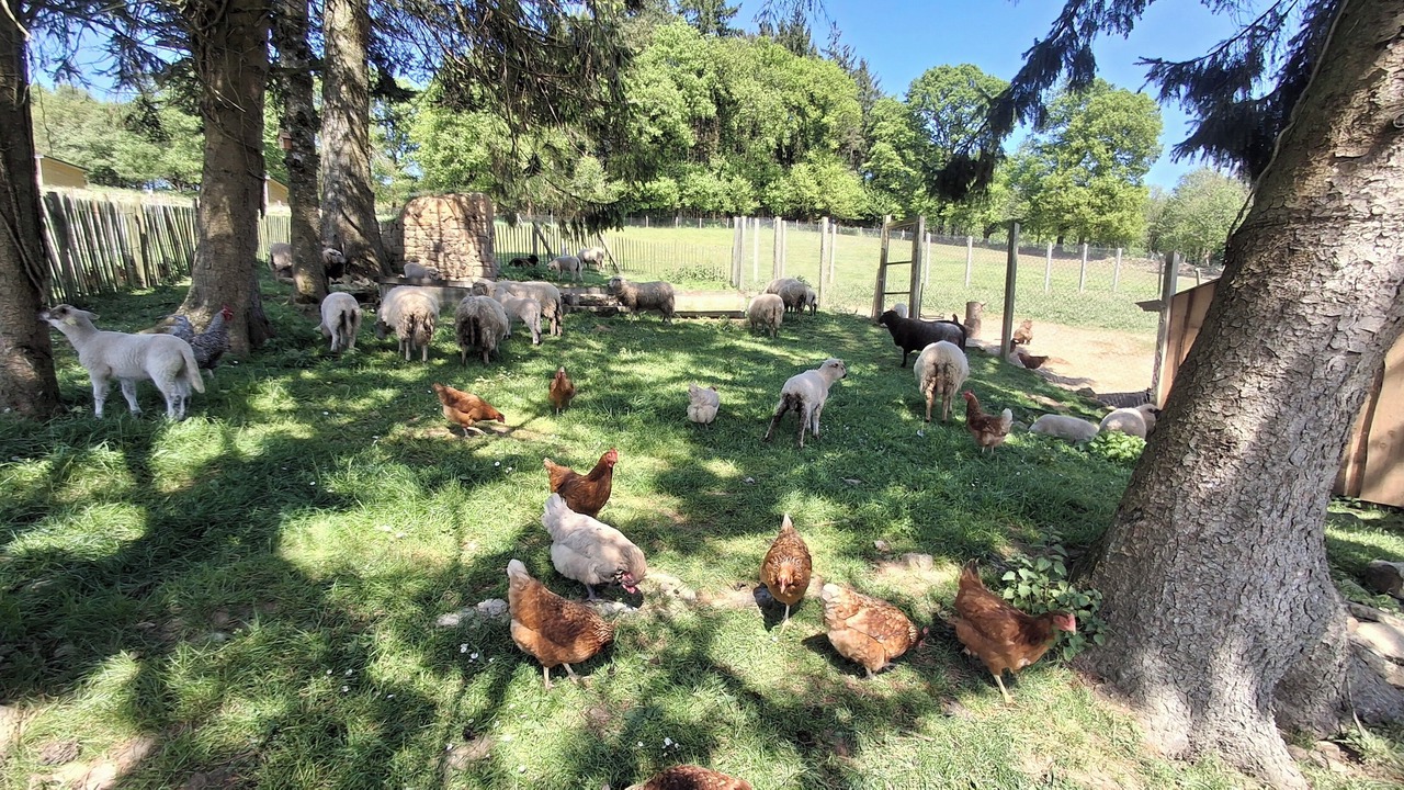 Photo of Others in Saint-Gilles-du-Mene