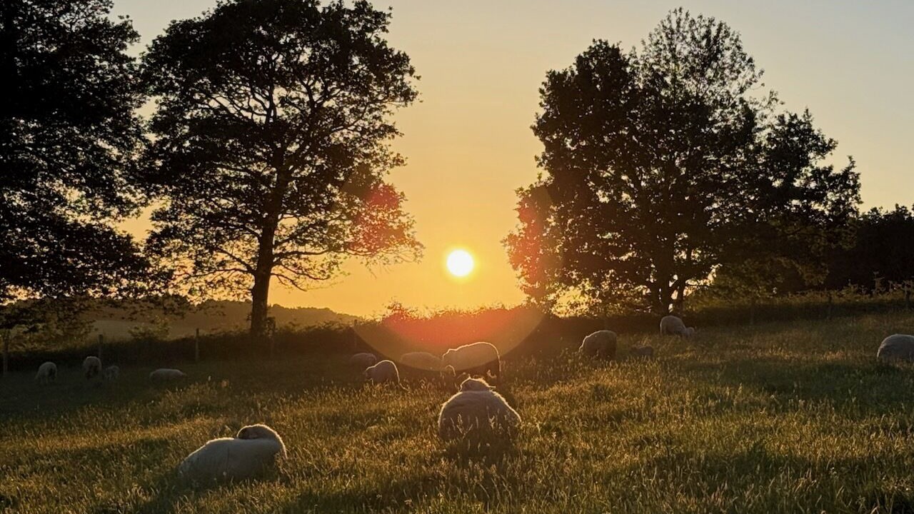 Photo of Others in Saint-Gilles-du-Mene