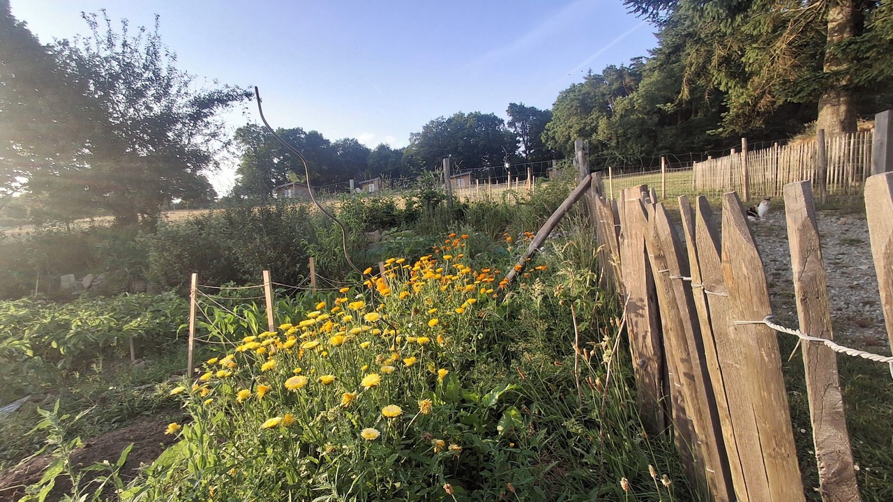 Photo of Outdoor in Saint-Gilles-du-Mene