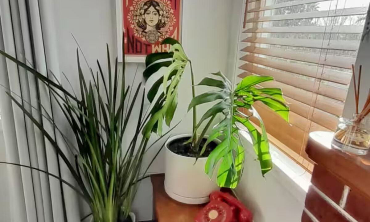 Photo of Others in Tauranga