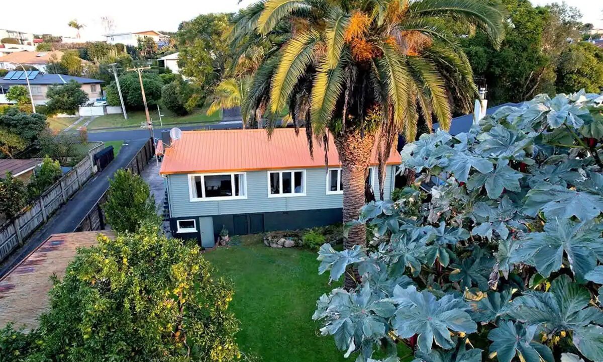 Photo of Outdoor in Tauranga