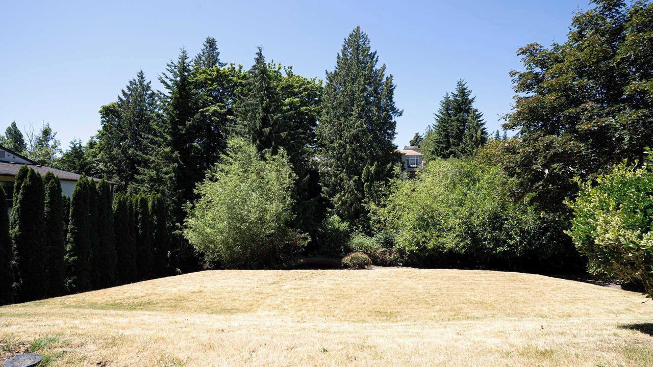 Photo of Outdoor in West Bellevue