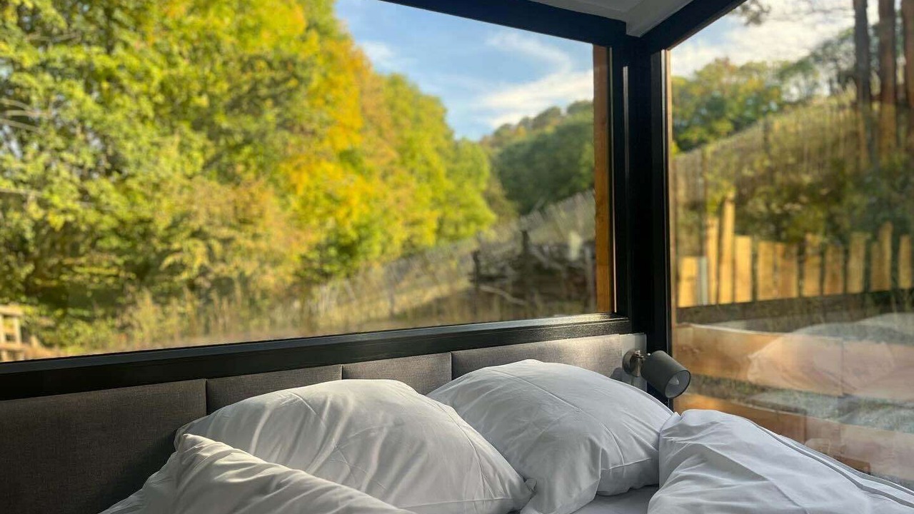 Photo of Bedroom in Orbey