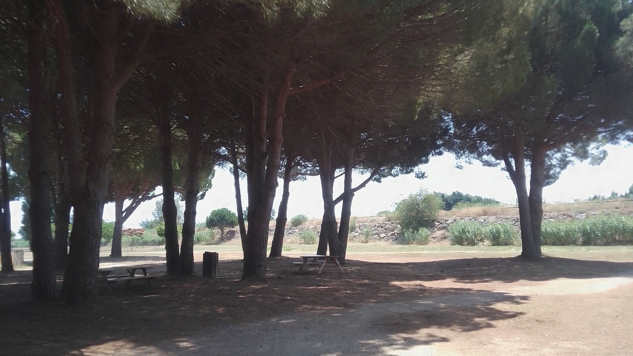 Photo of Others in Saint-Hippolyte