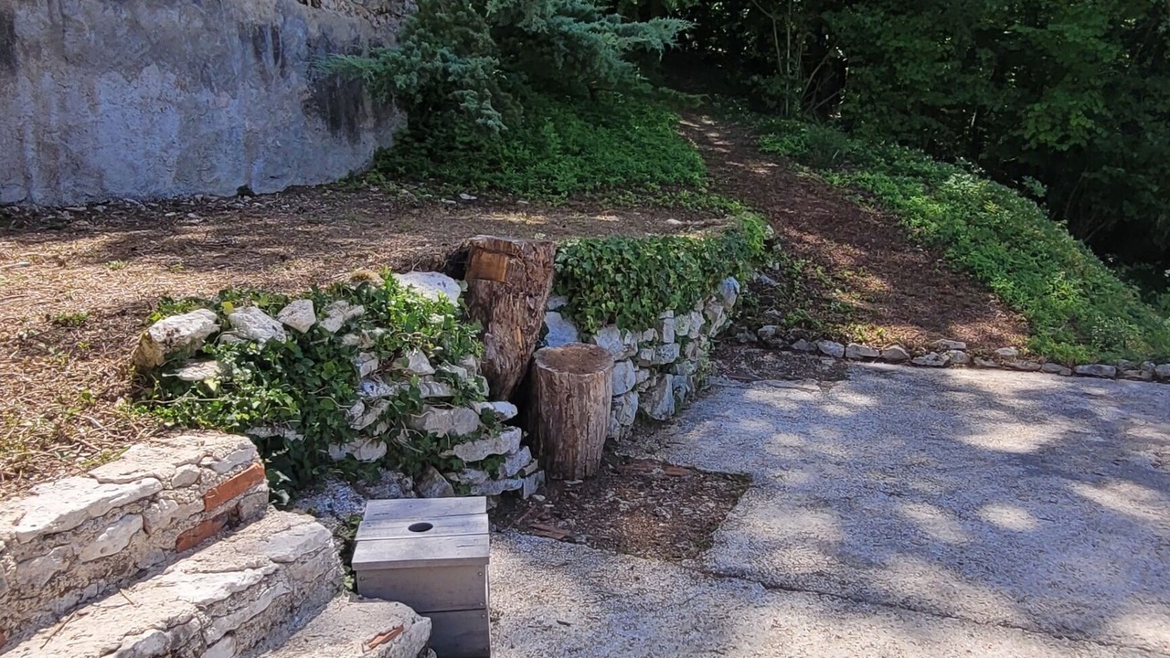 Photo of Outdoor in Salmaise