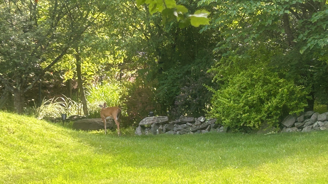 Photo of Outdoor in Henryville