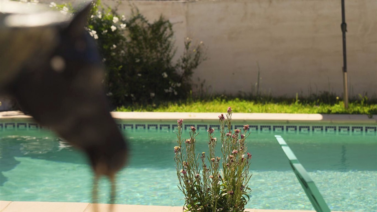 Photo of Outdoor in Beauvoisin