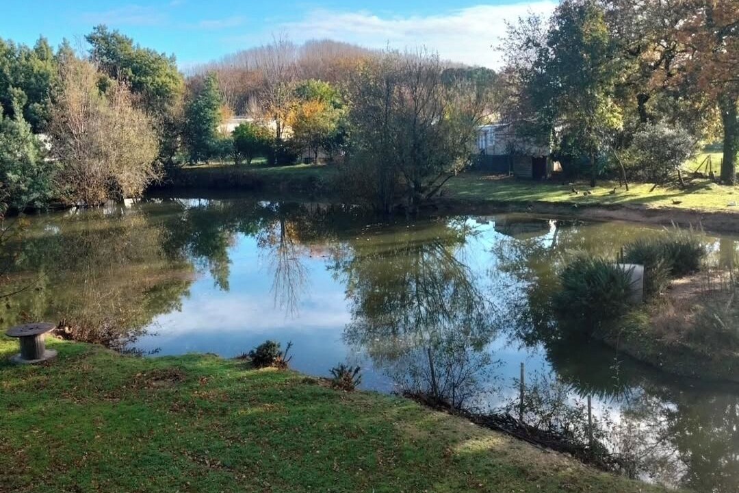 Photo of Outdoor in Commequiers