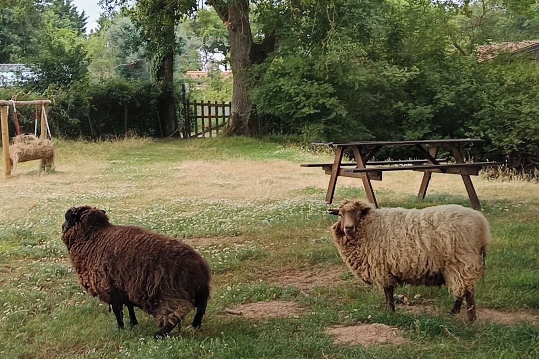 Photo of Others in Commequiers