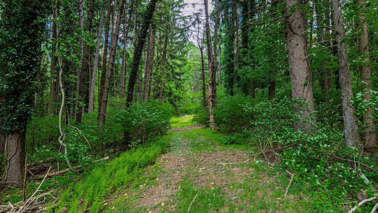 Photo of Others in Conestoga